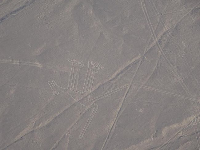 Nasca Lines