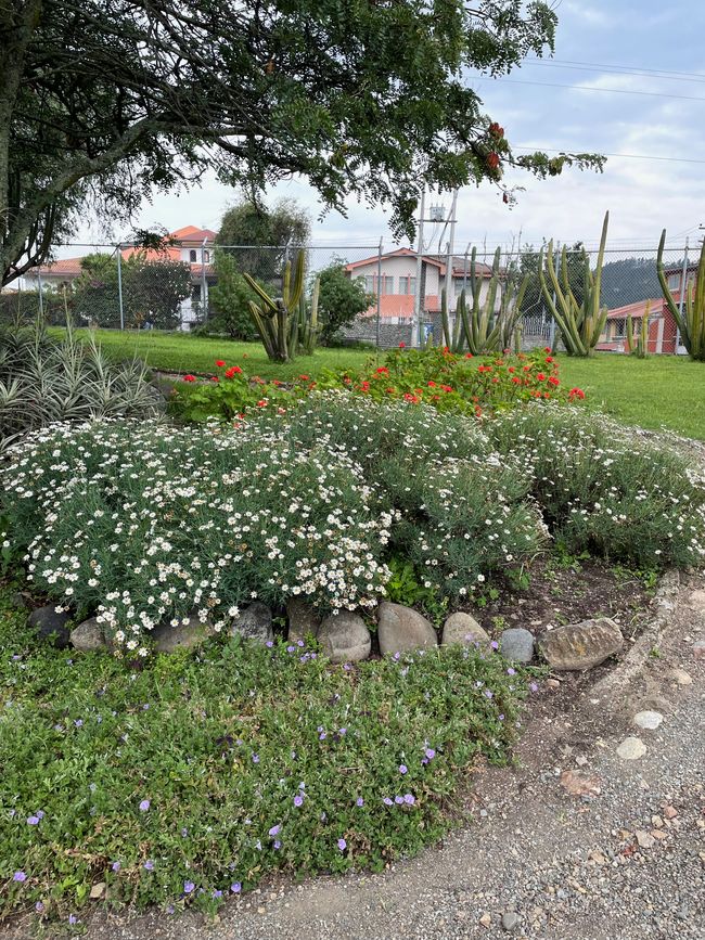 Garten im Museum Pumapungo
