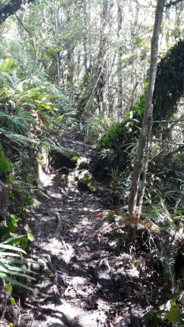 The trail to the waterfall