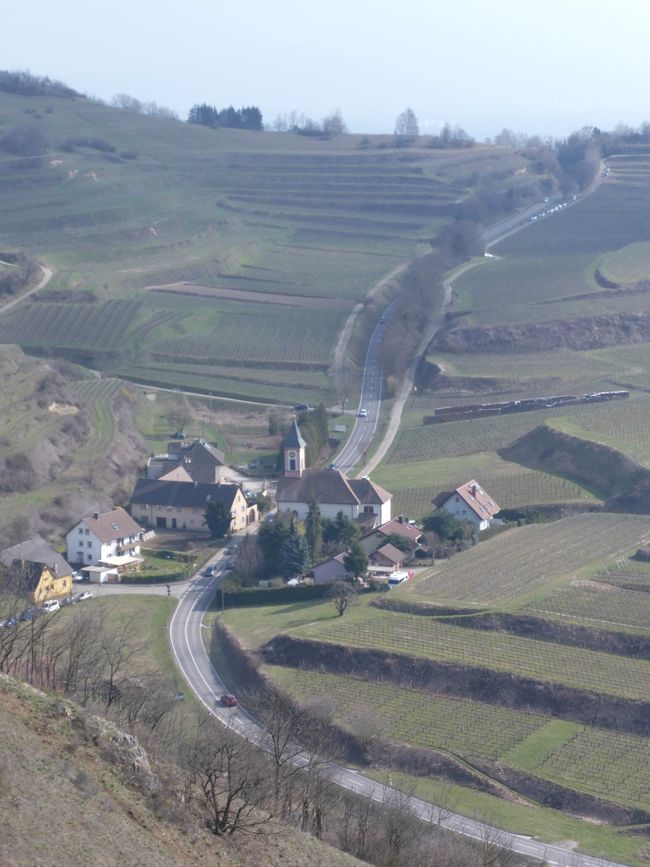 View of the new terraced vineyards