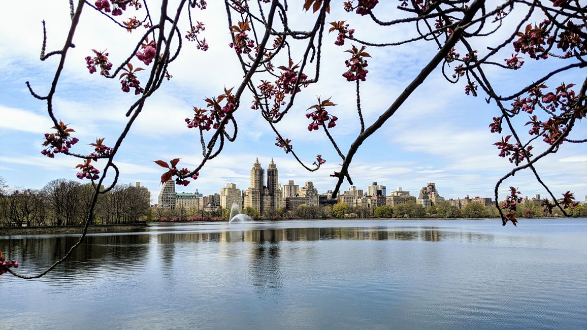 Tag 15: The Met – Central Park und zurück in die Heimat