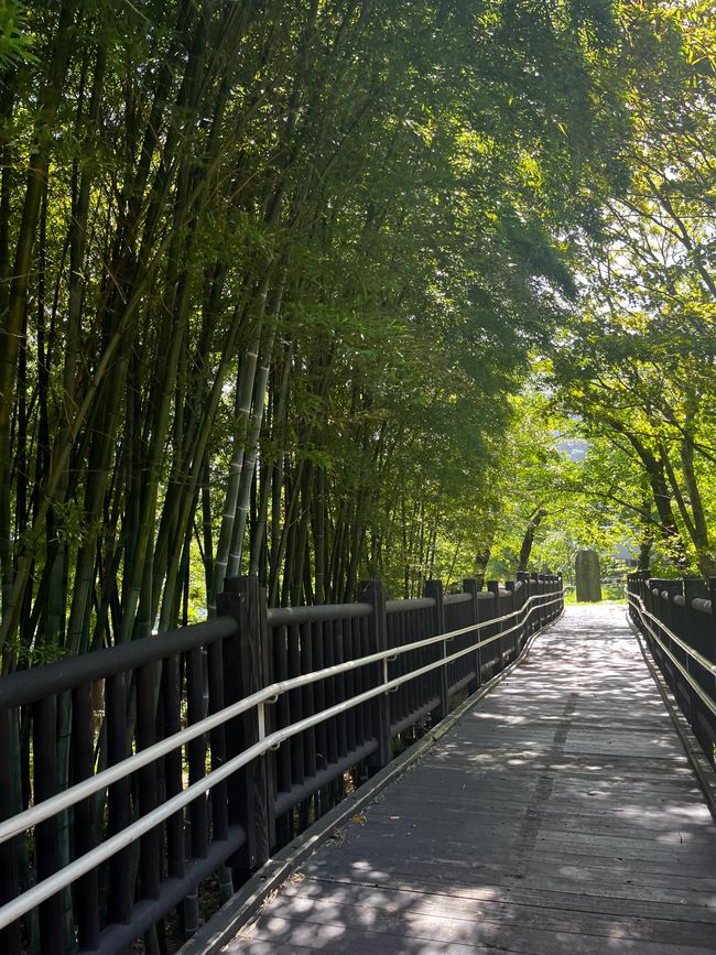 Eine Brücke die durch Bambus hindurchführte