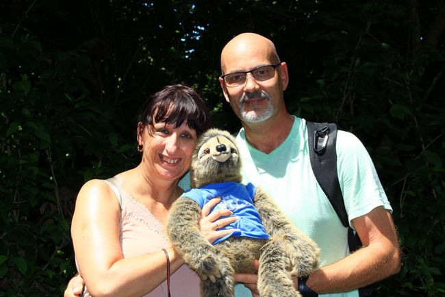 The Sloth Institute at the Tulemar Resort