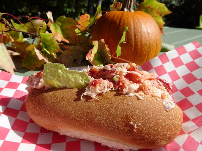Lobster Roll in St. Martins