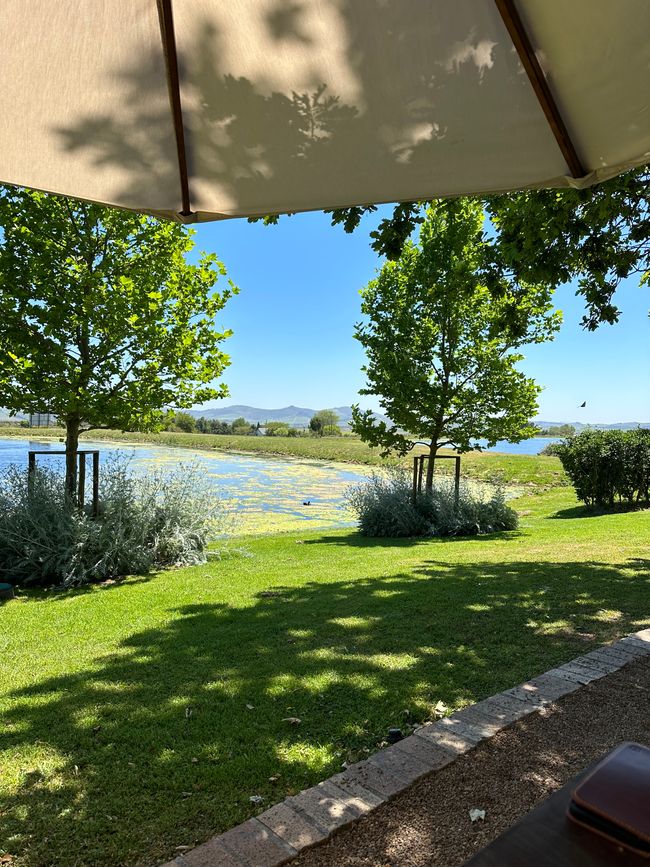 Stellenbosch 
