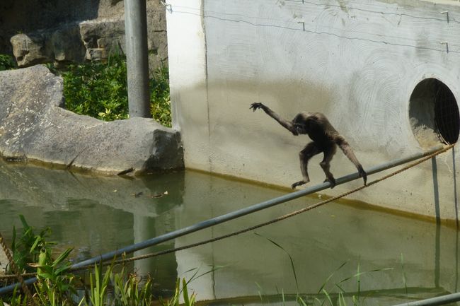 Уште еден ден во центарот на Хсинчу: Зоолошка градина и музеј за стакло