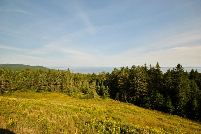 Fundy National Park in New Brunswick