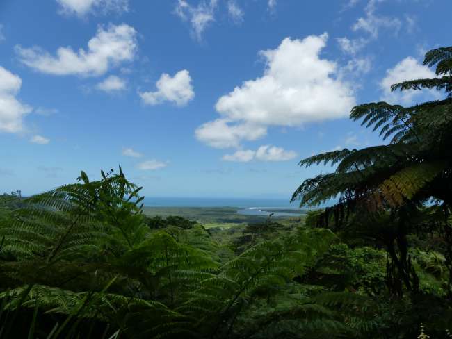 Lookout point with a view of the mouth of the Daintree River