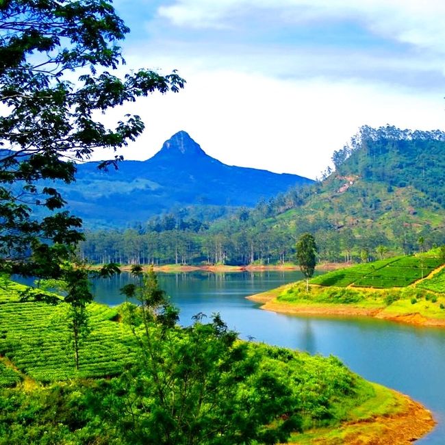 Hatton - Adam's Peak - Sri Lanka