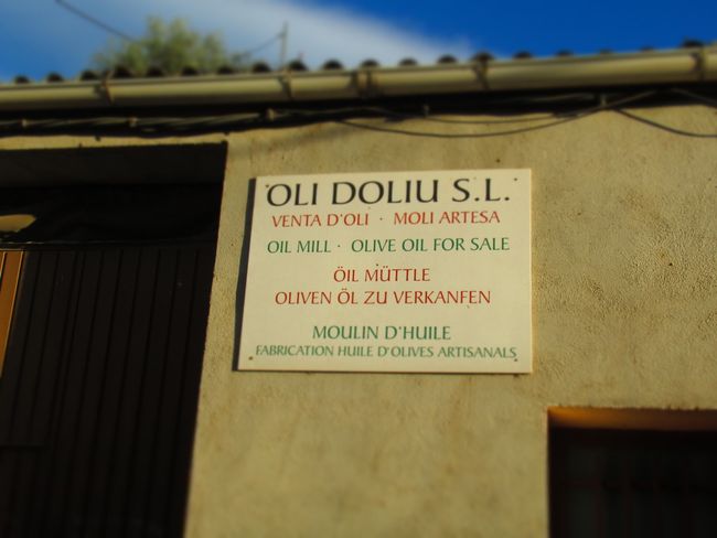 @Olive oil mill