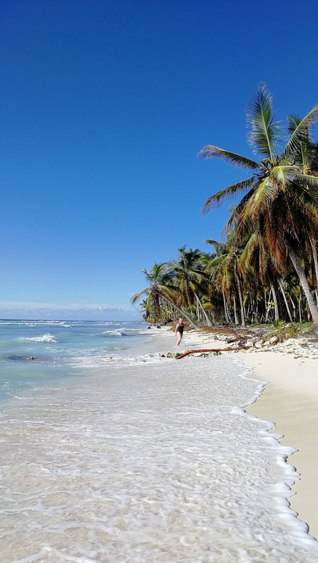 La Isla Saona - Dominikanska republiken
