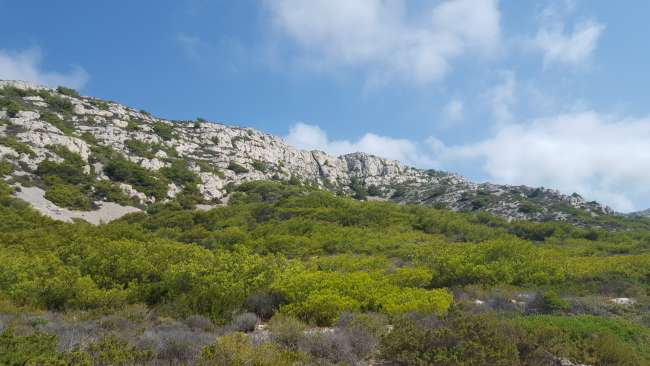 The Calanques National Park