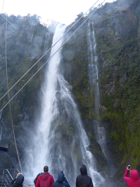 6th day boat tour at Milford Sound