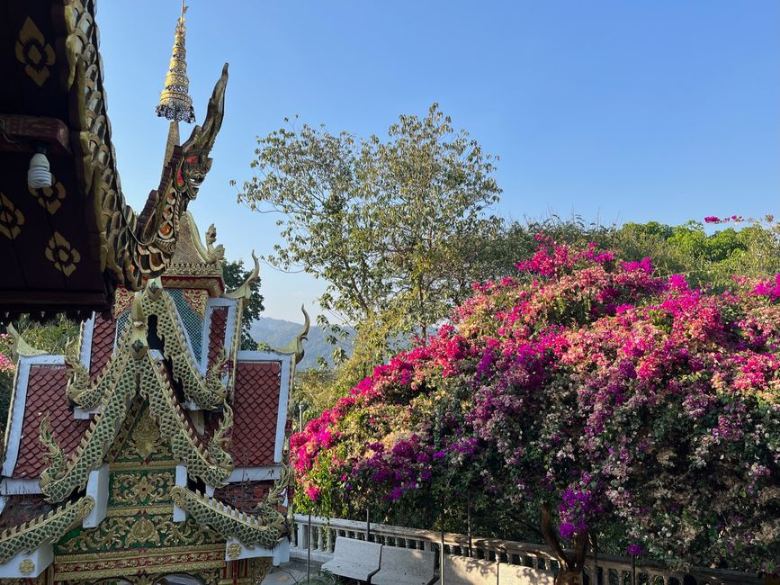 Chiang Mai - Teil 1