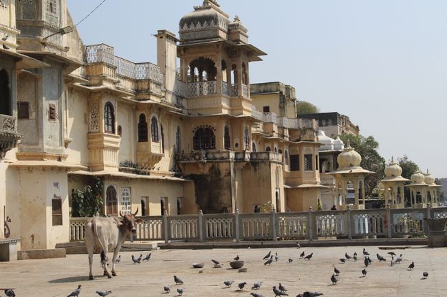 Udaipur - Perla Rajasthan