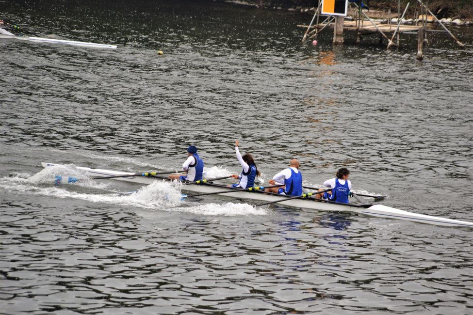 Rowing competition in the single 