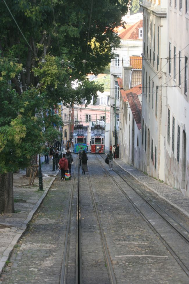 Lissabon = Abschied und Bienenalleinflug