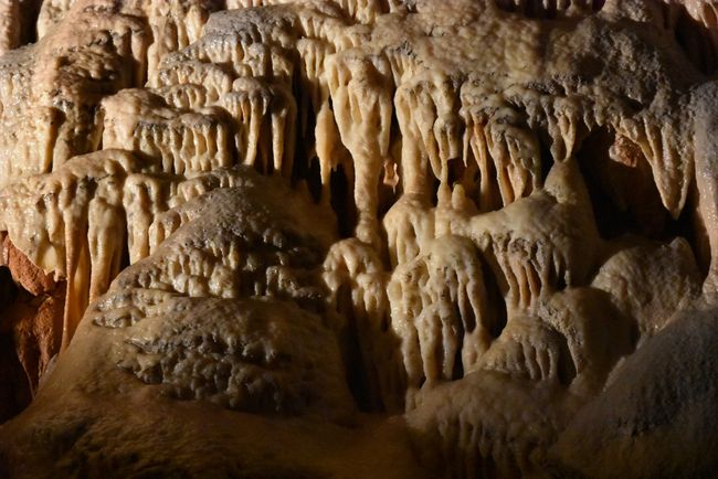 Tropfsteine in der Höhle von Postojna