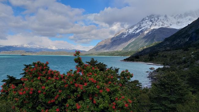 6-day trekking in Torres del Paine National Park