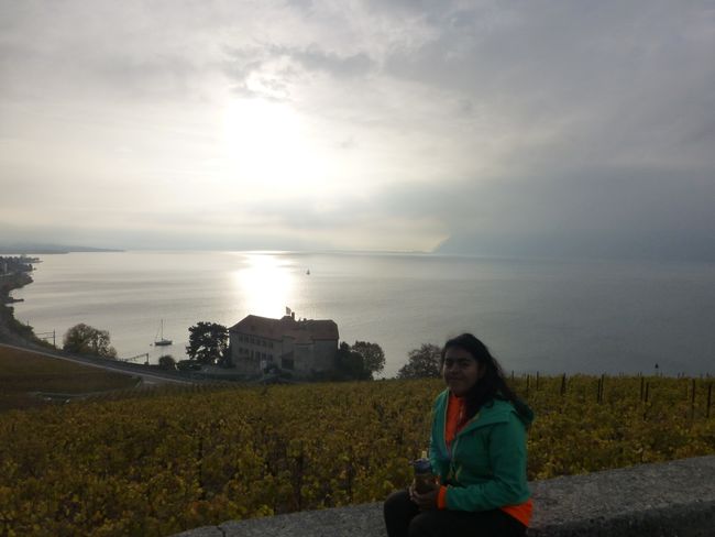 terrasse de lavaux