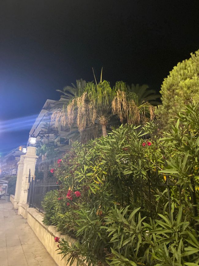 Nizza♥️