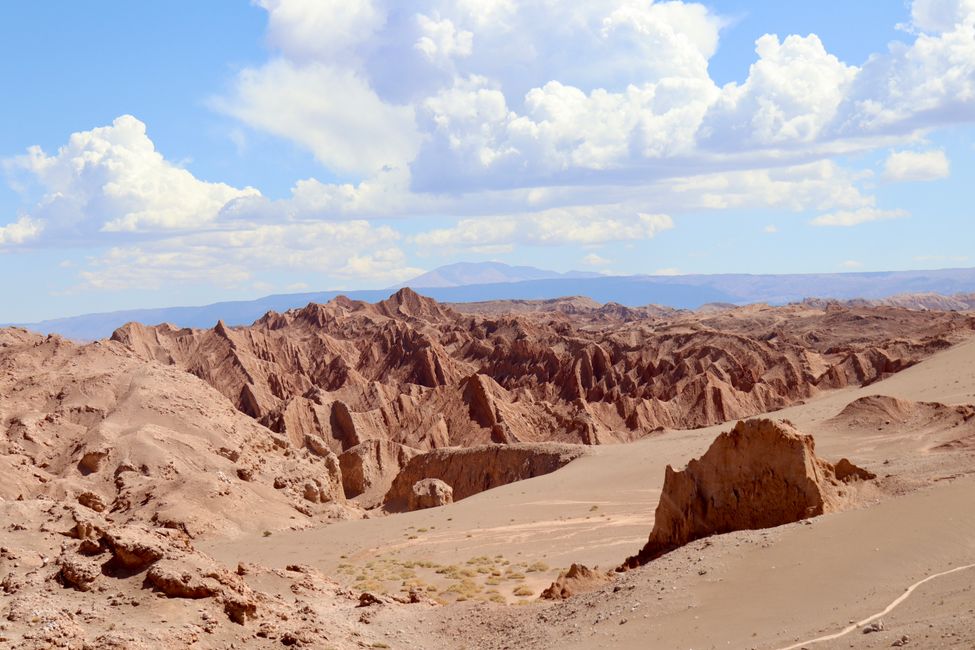 Desert sessions 
La Serena-San Pedro de Atacama-Arica