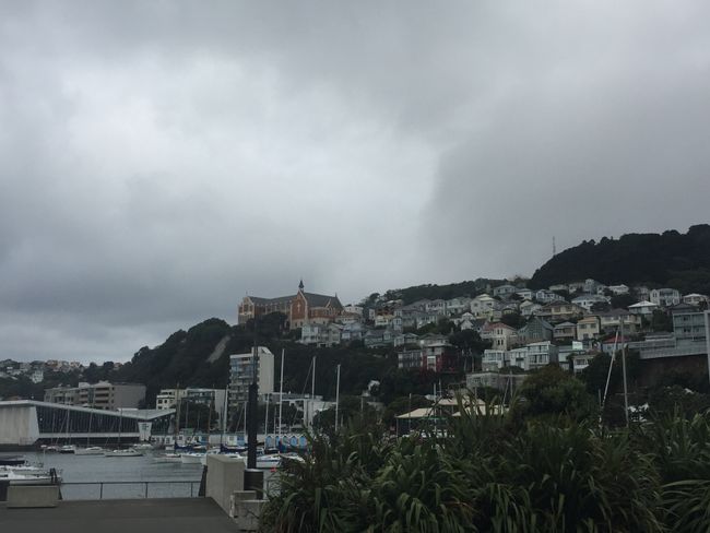 Family time Part 2 and the North Island of New Zealand