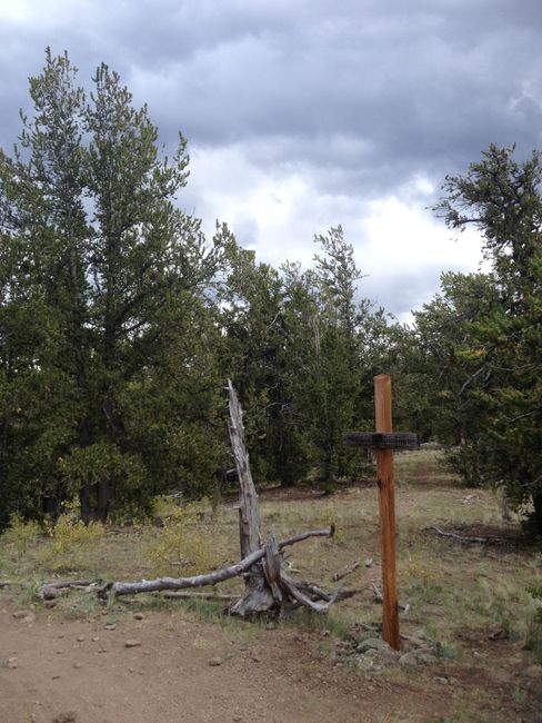 Es ist offiziell: Colorado Trail als Baumfriedhof bekreuzigt. RIP