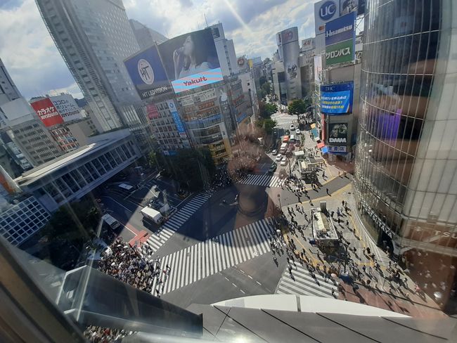 Blick auf die Shibuya Kreuzung vom Magnet