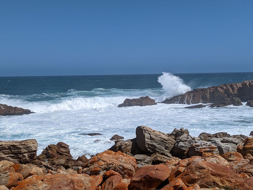 Plettenberg Bay/Robberg Nature Reserve
