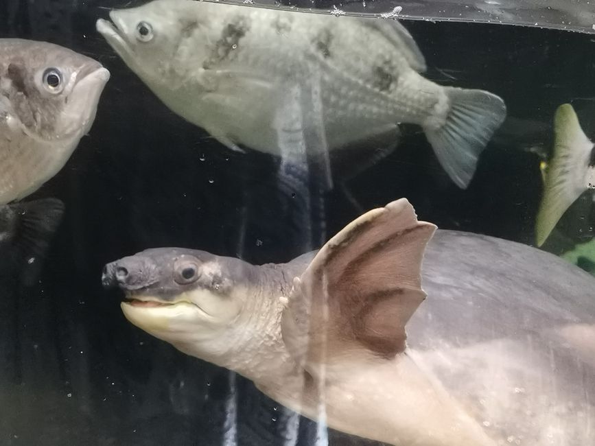 Aquarium sa Baltimore