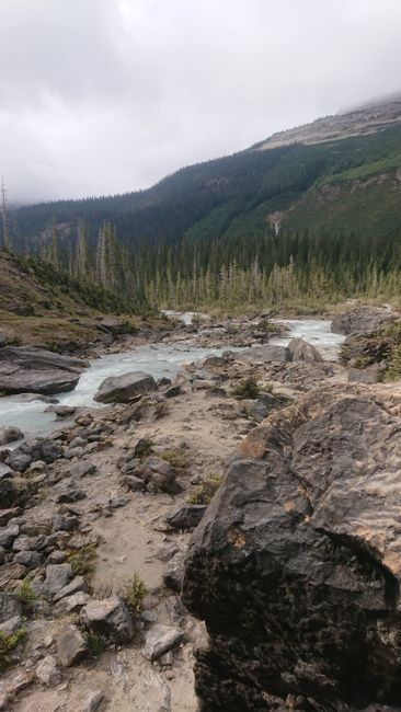 Takkakaw Falls, Yoho Nationalpark 