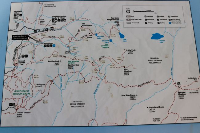 Sequia National Park