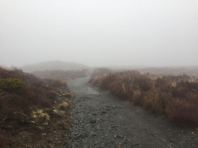 Das Tongariro Crossing - a wet adventure