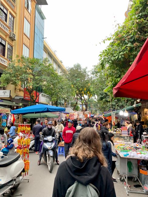 Markt in Hanoi mit Julia 