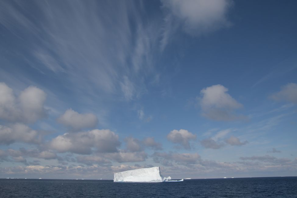 Iceberg