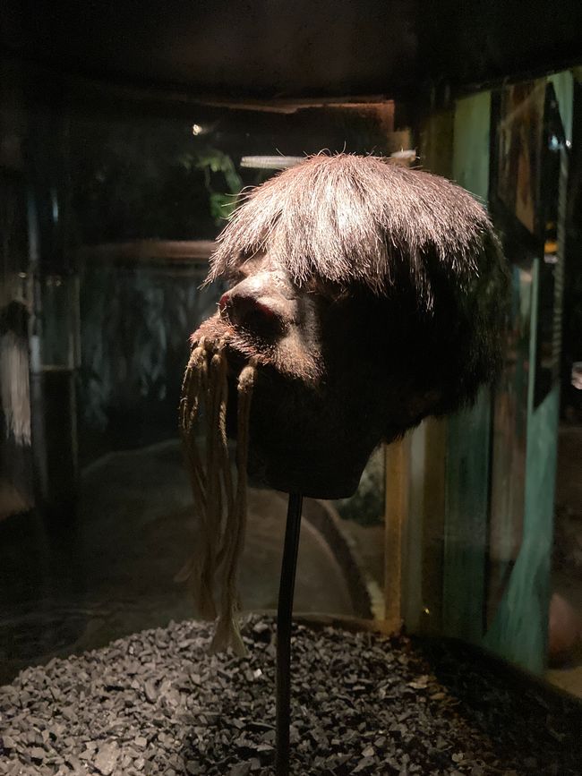 Shrunken heads at the Pumapungo Museum
