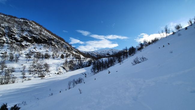 Mit der Schule: Ut på ski!