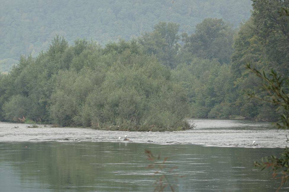 44-كۈنىدىن 46-كۈنىگىچە Flat Vojvodina ، Drina ، قىزىقارلىق ئۇچرىشىشلار