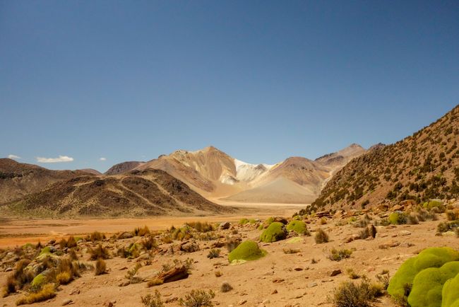 Chile - Iquique, Arica, Putre and Tacna (Peru)