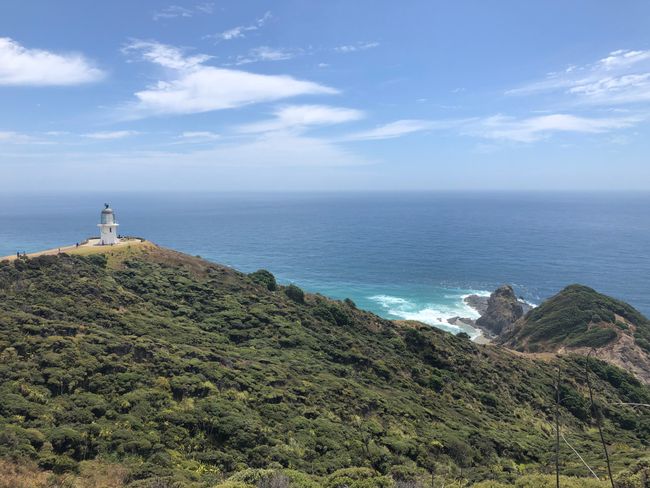 PlanLoser...XVI „Cape Reinga - the most accessible point in New Zealand to the north“