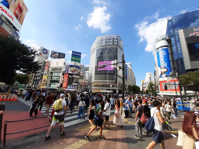 Blick auf die Shibuya Kreuzung von der Shibuya Kreuzung