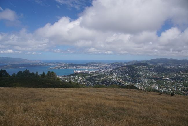 View from Mount Kaukau