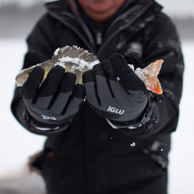 Luleå 7 de febrero de 2022