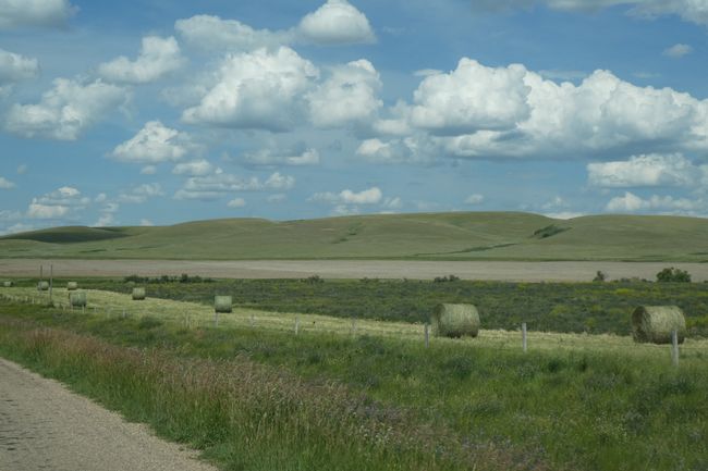 Alberta: Badlands, Dinosaurier, Cowboys