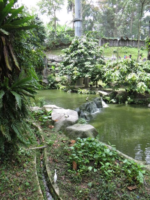 吉隆坡飛禽公園