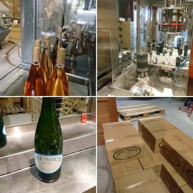 from bottling to labeling into boxes for shipping 
