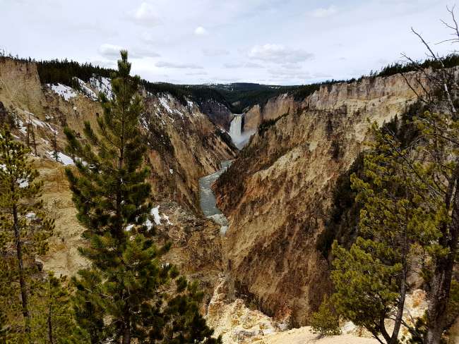 Day 9: Yellowstone NP, West Thumb, Mud Volcano, Canyon Southrim