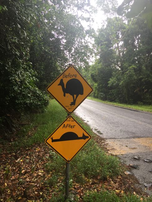 Cairns bis Brisbane - man ist das hübsch!