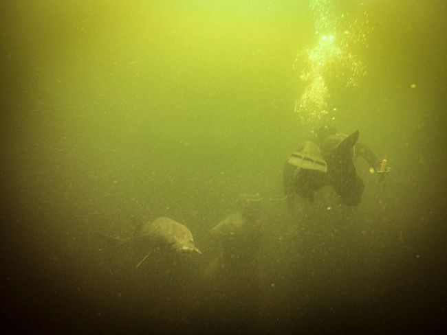 Tag 58 - NaturaGart Underwater Park in Ibbenbüren